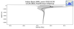 Indian Basin Salinity vs depth