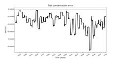 Absolute salt conservation error