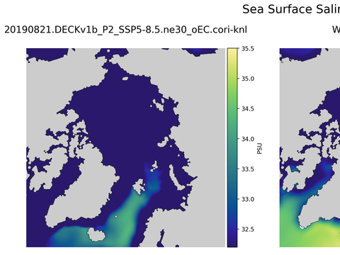 Arctic Salinity