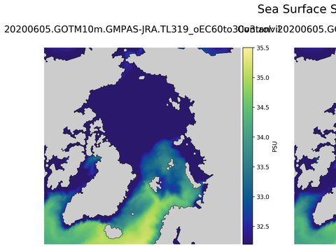 Arctic Salinity