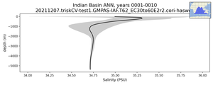 Indian Basin Salinity vs depth