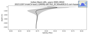 Indian Basin Salinity vs depth