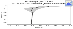 Indian Basin Salinity vs depth