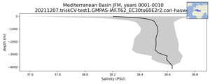 Mediterranean Basin Salinity vs depth