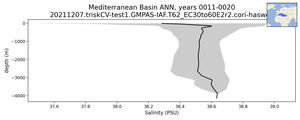 Mediterranean Basin Salinity vs depth