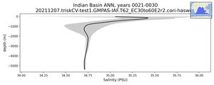 Indian Basin Salinity vs depth