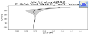 Indian Basin Salinity vs depth