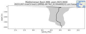 Mediterranean Basin Salinity vs depth