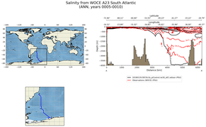 ANN Salinity from WOCE A23 South Atlantic ANN