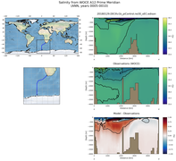 ANN Salinity from WOCE A12 Prime Meridian ANN