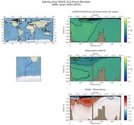ANN Salinity from WOCE A12 Prime Meridian ANN