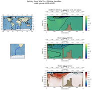 ANN Salinity from WOCE A12 Prime Meridian ANN