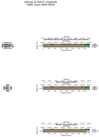 ANN Salinity at 300.0$\degree$ Longitude ANN