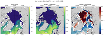 JFM Salinity
