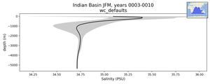 Indian Basin Salinity vs depth
