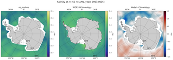ANN Salinity