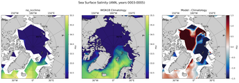 ANN Salinity