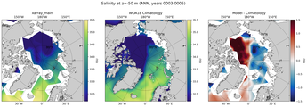ANN Salinity