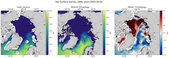ANN Salinity