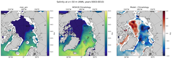 ANN Salinity
