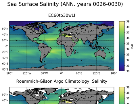 Global Argo Salinity