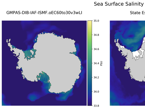 Antarctic Salinity