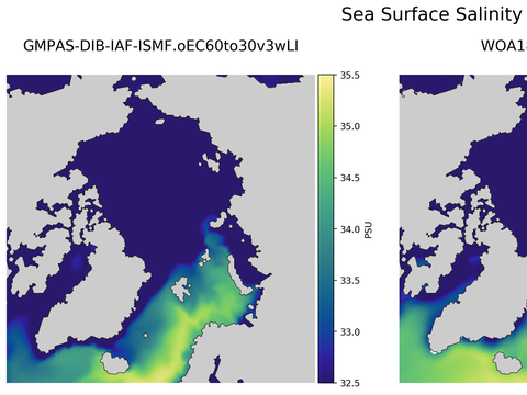 Arctic Salinity
