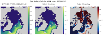 ANN Salinity