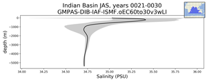 Indian Basin Salinity vs depth