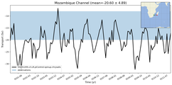 Transport through the Mozambique Channel Transect